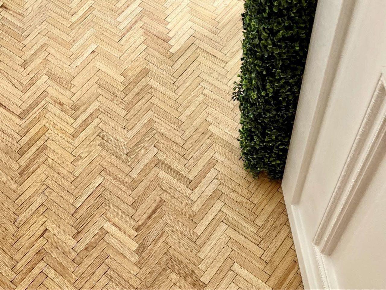 Restored herringbone parquet meeting a painted panel door and a greenery wall